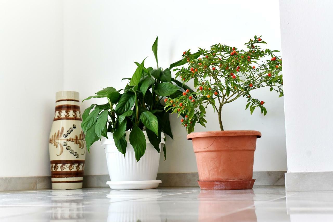Apartman Hertz 伊莫茨基 外观 照片